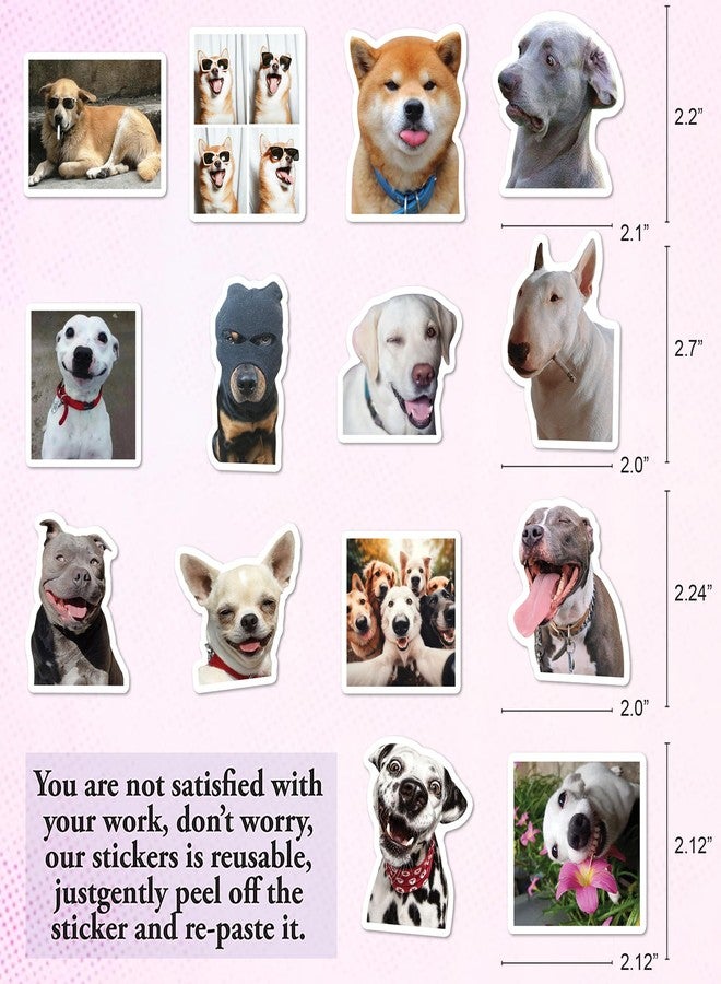 BEATRI Funny Dog Stickers 50Pcs Cute Dog Meme Stickers Waterproof Vinyl Decor & Party Favors for Laptop, Water Bottle, Skateboard & Travel Gear | Non-Repeating Decals, High-Definition Print - Image 2